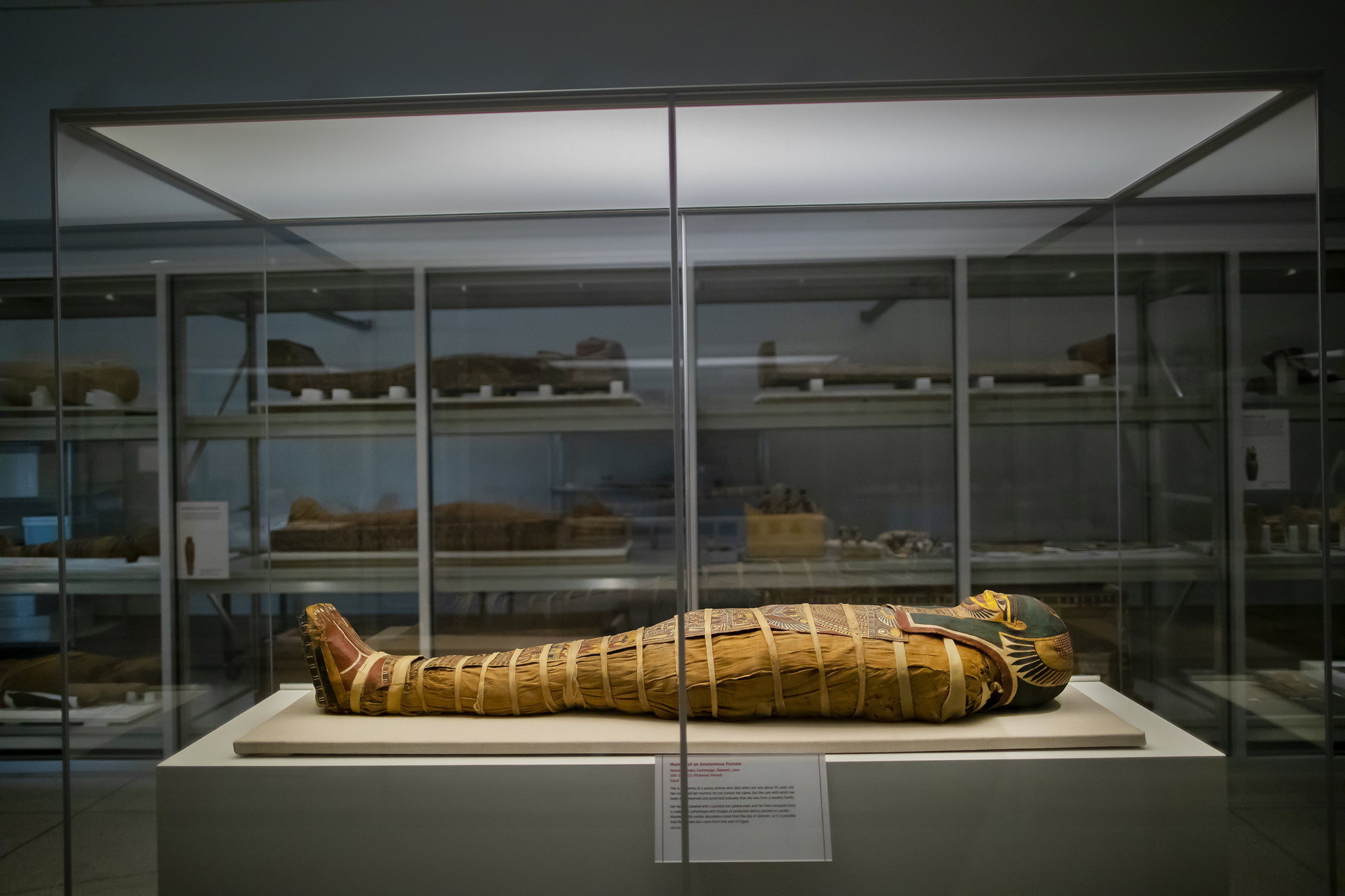mummy in the visible storage area