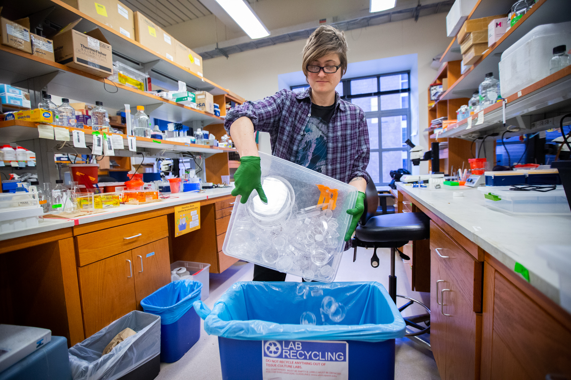 A person in a lab pours a bin full of plastic petri dishes into a blue recycling bin.