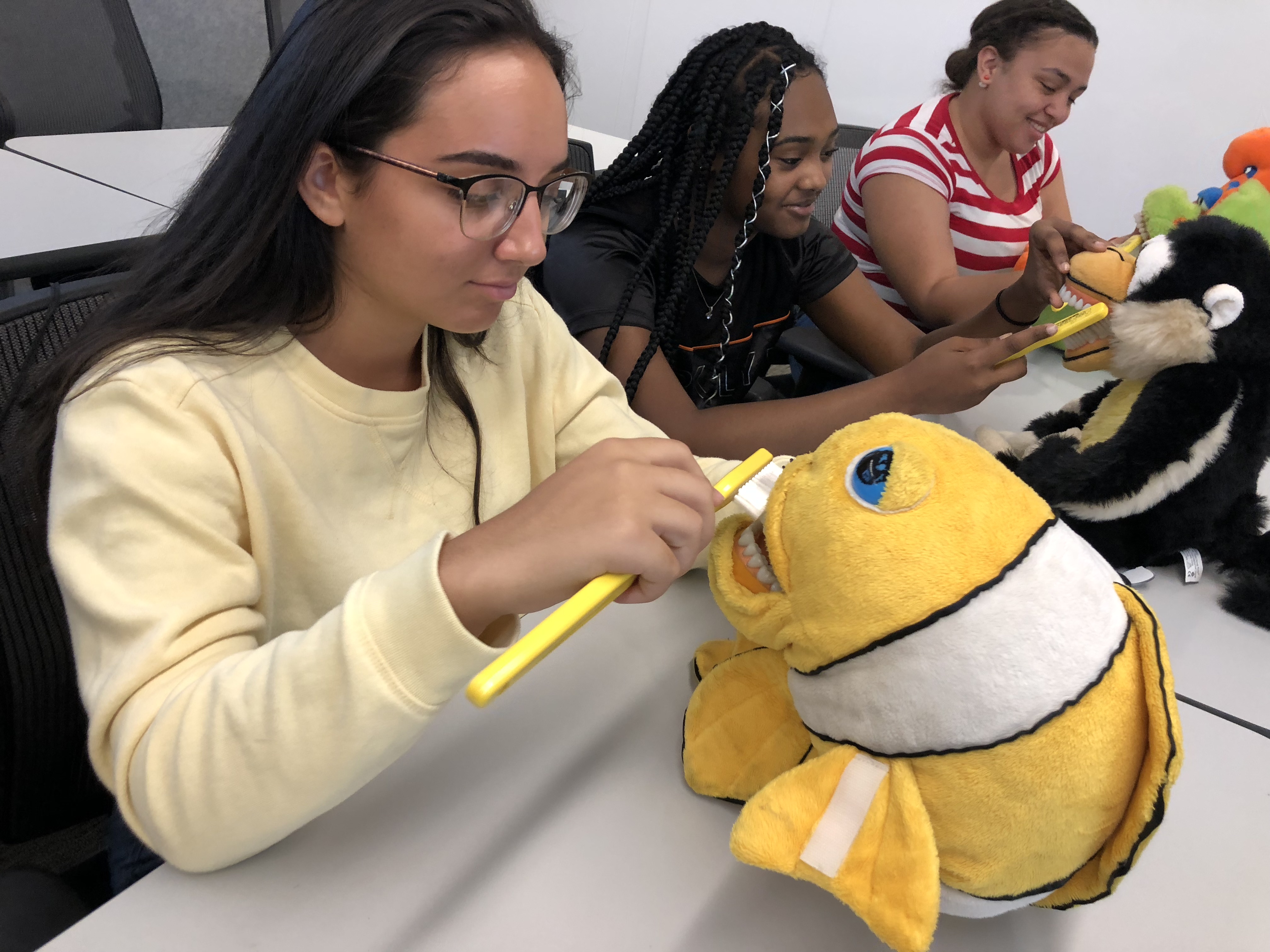 students brush the teeth of stuffed animals in a class 