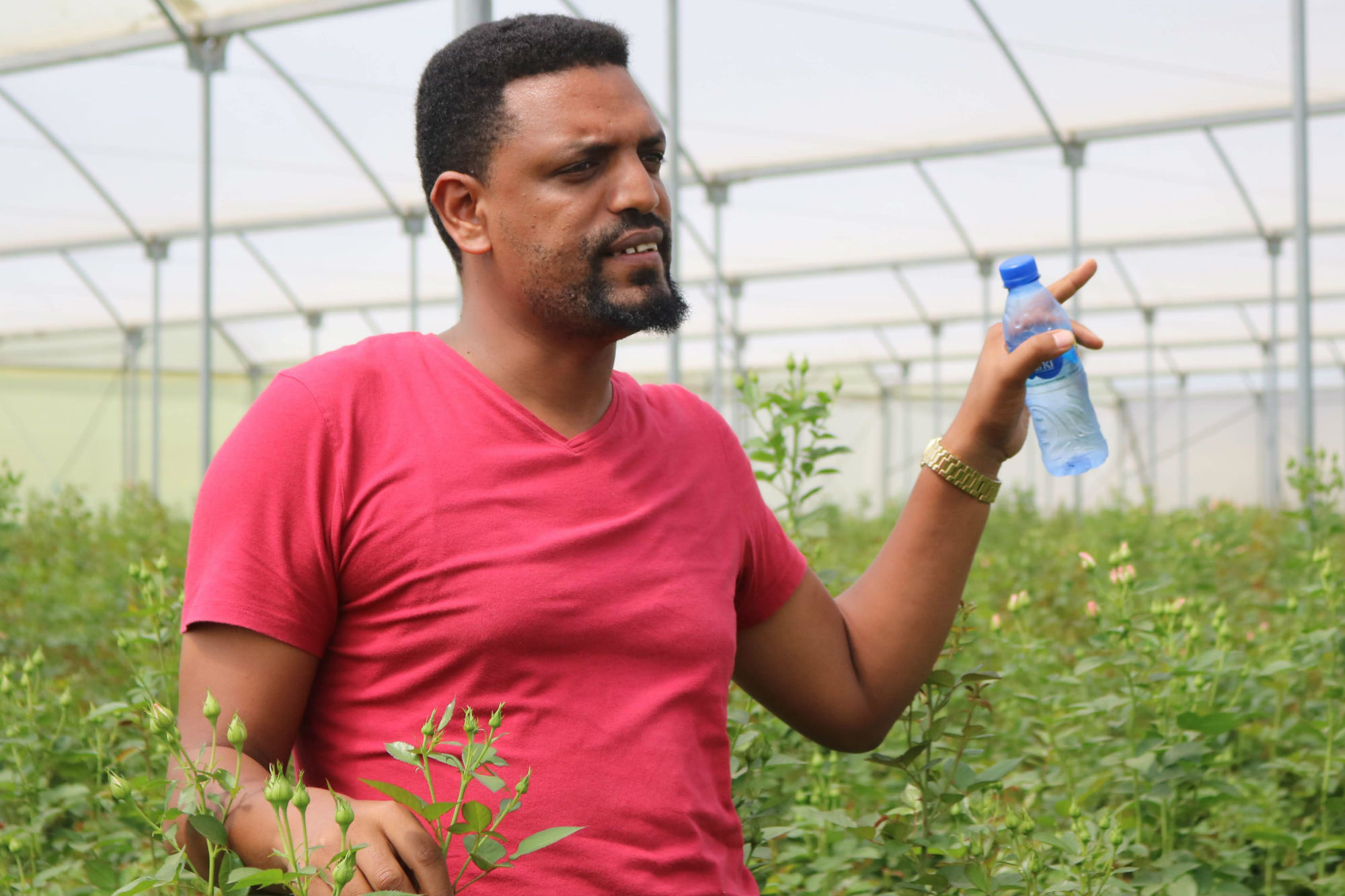 Ethiopian man at flower farm
