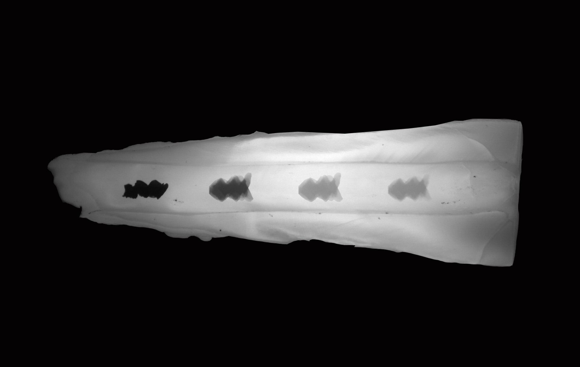 A time-lapse image of a tooth with a helicoid robot moving through the internal tooth canal.