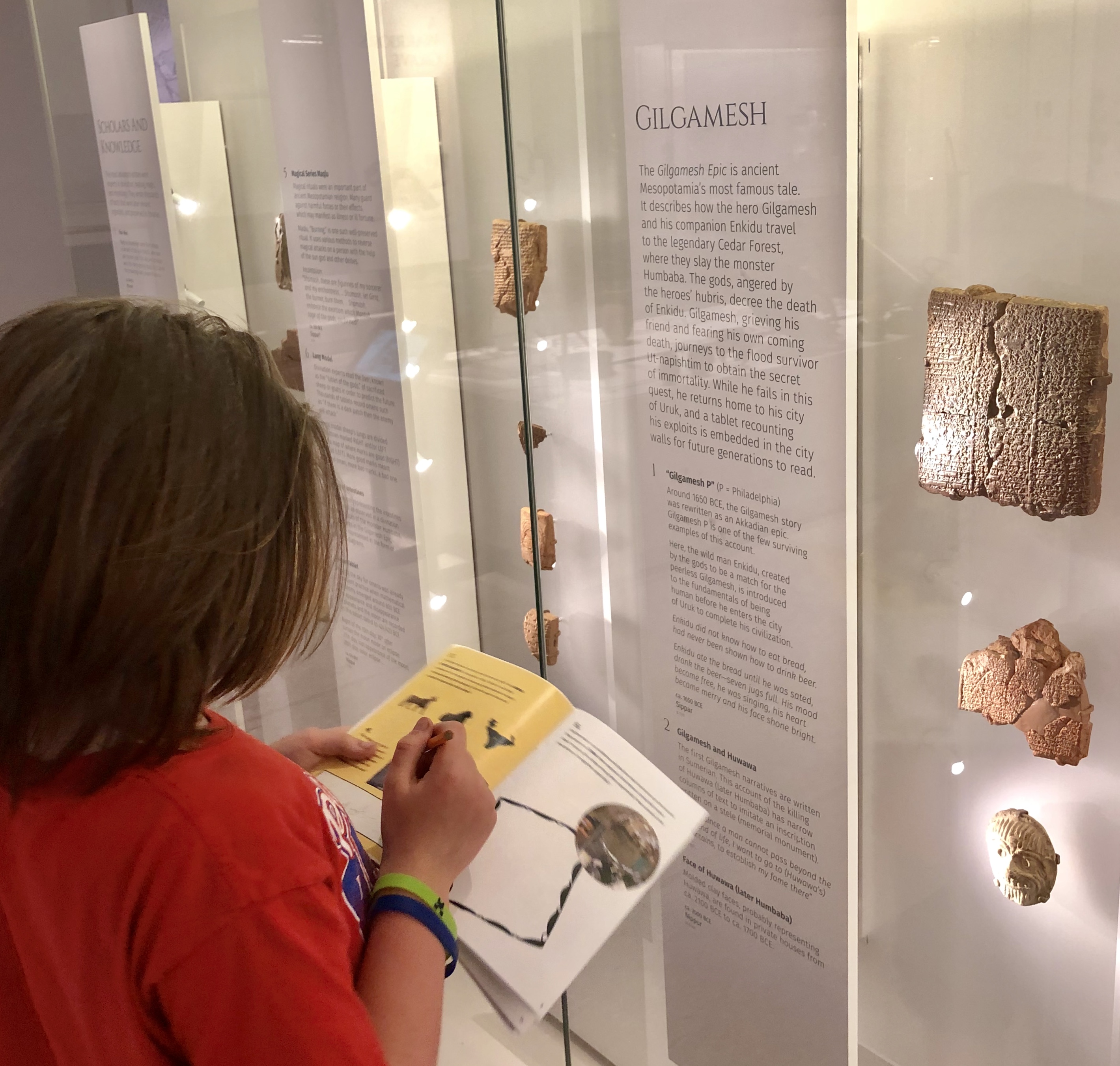 Child studying museum artifact