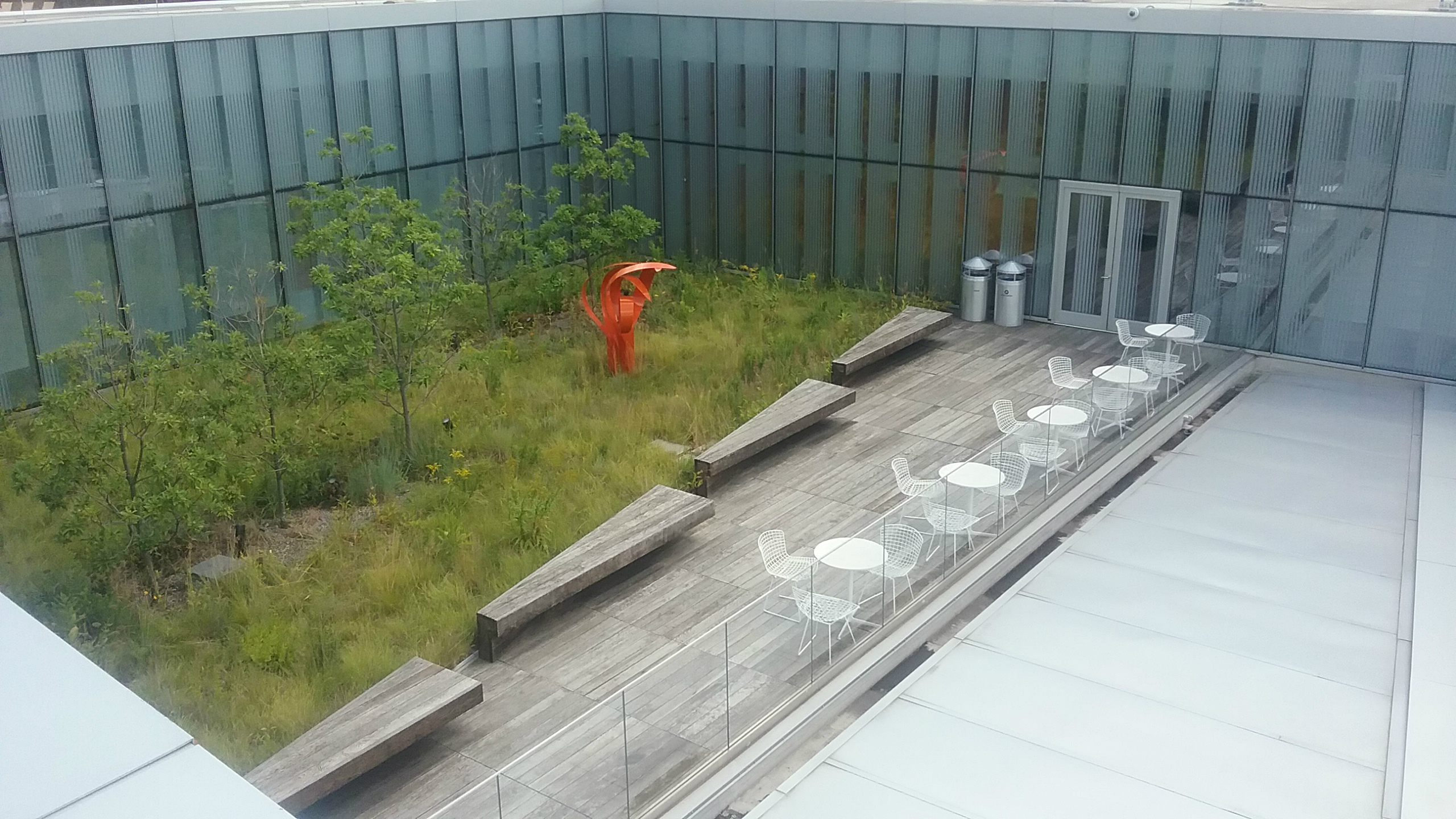A green roof on a glass building has trees and is next to a patio with tables and chairs