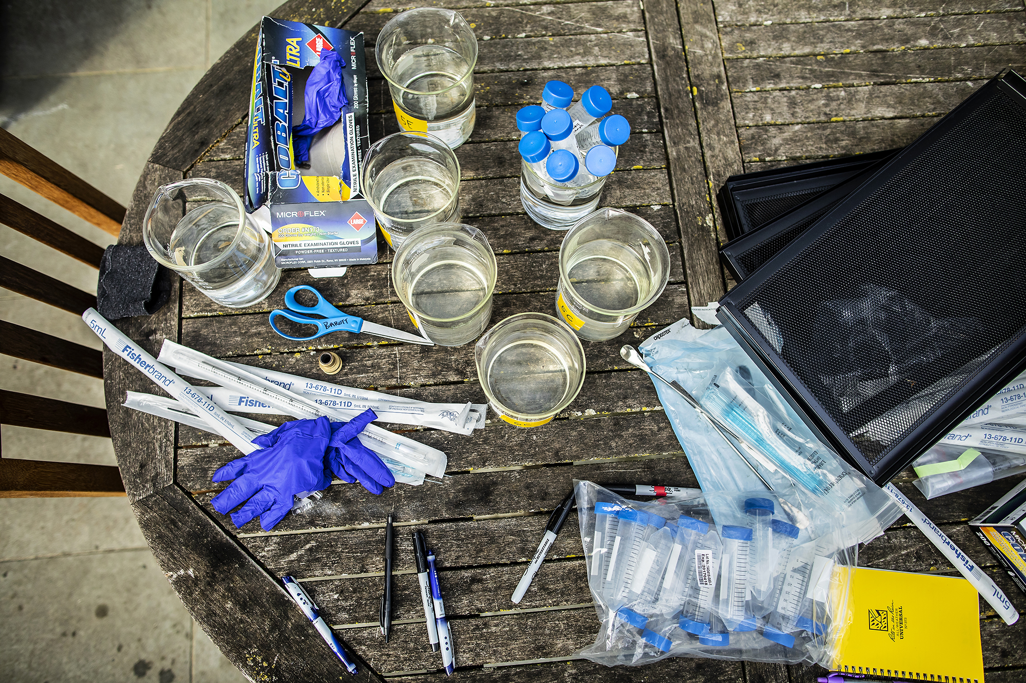 On a wooden table is an array of scientific equipment - graduated cylinders, test tubes, pipettes, markers, scissors, and a field notebook.