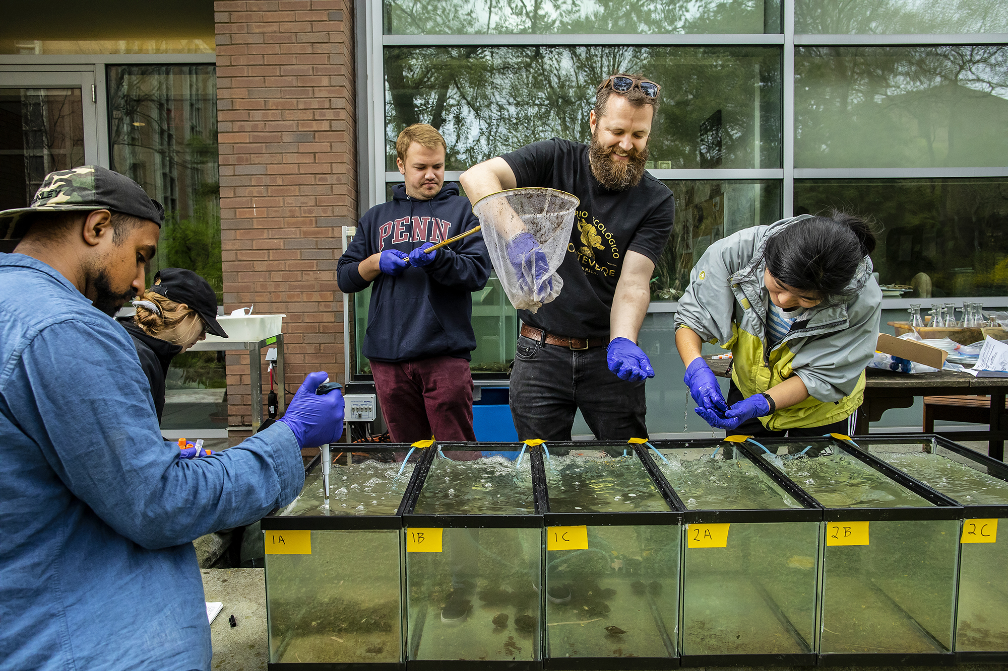 One student uses a pipette to take a water sample as another holds a fishing net full of mussels in front of six aquariums, three with mussels and three without. An instructor and a third student carefully place more mussels in one tank.