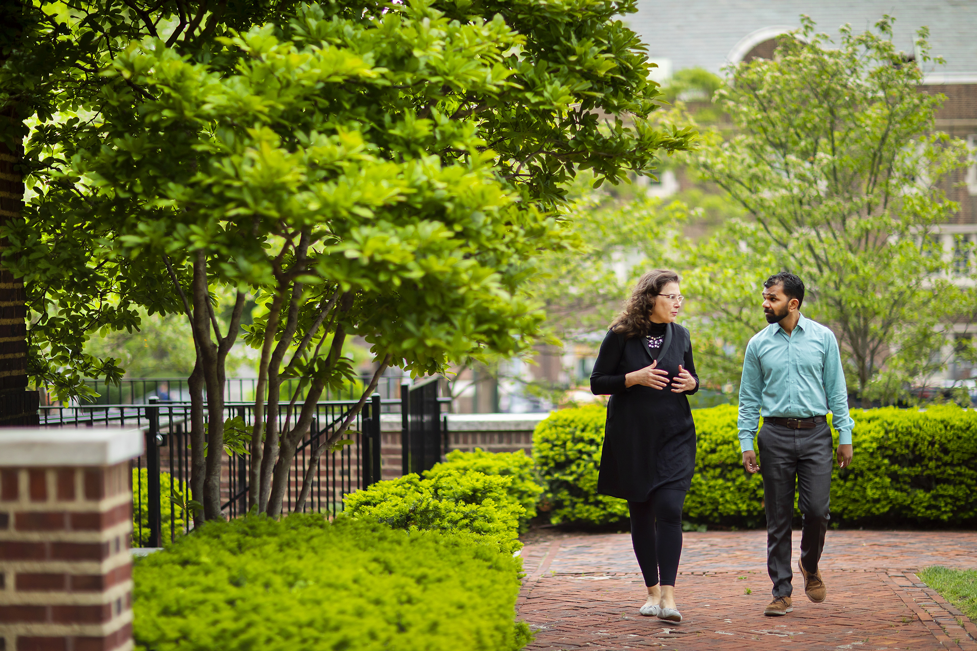 Two people walking on a brick path, talking, in a courtyard surrounding by green bushes and a tree.