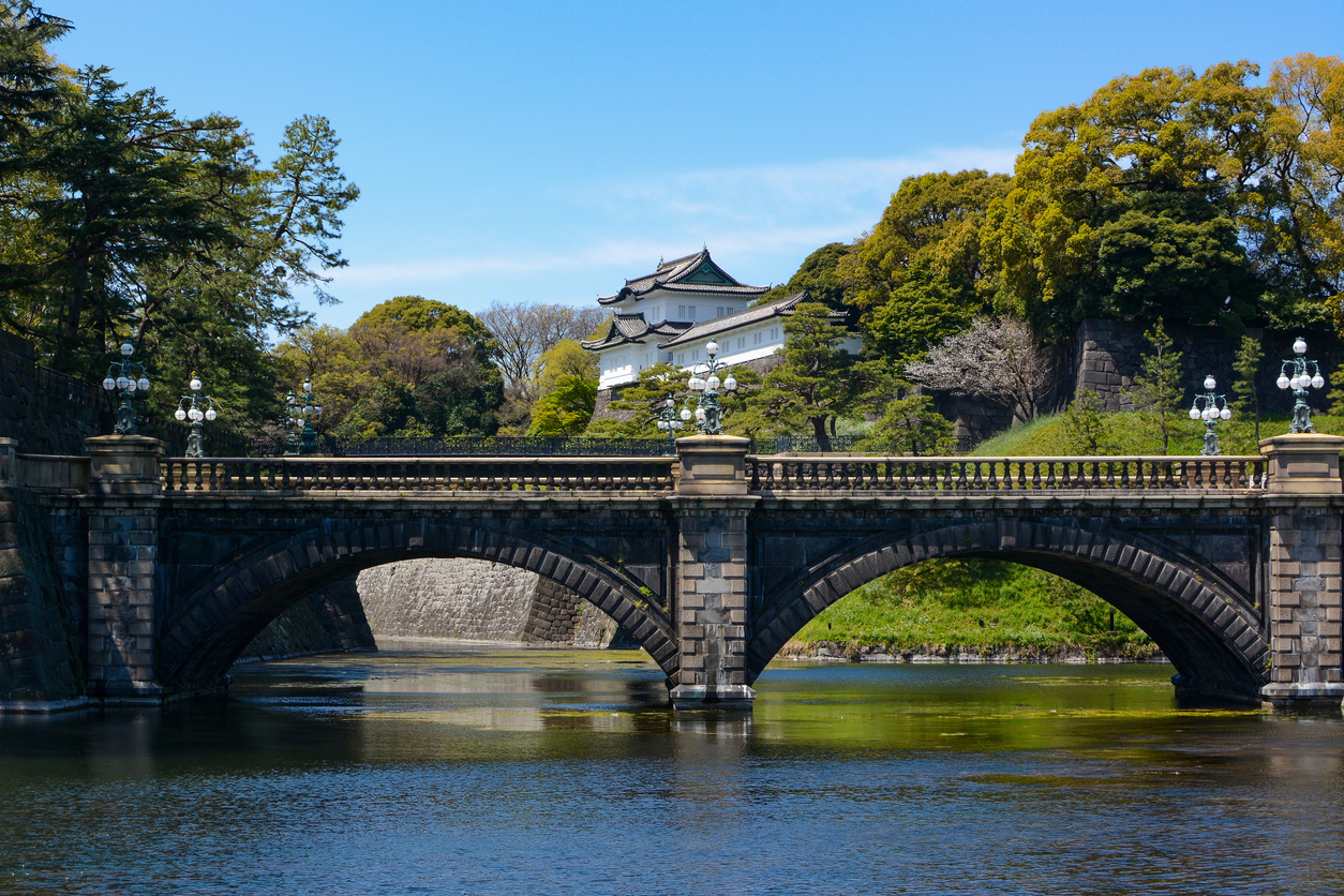 Bridge hangs over water with palace in background