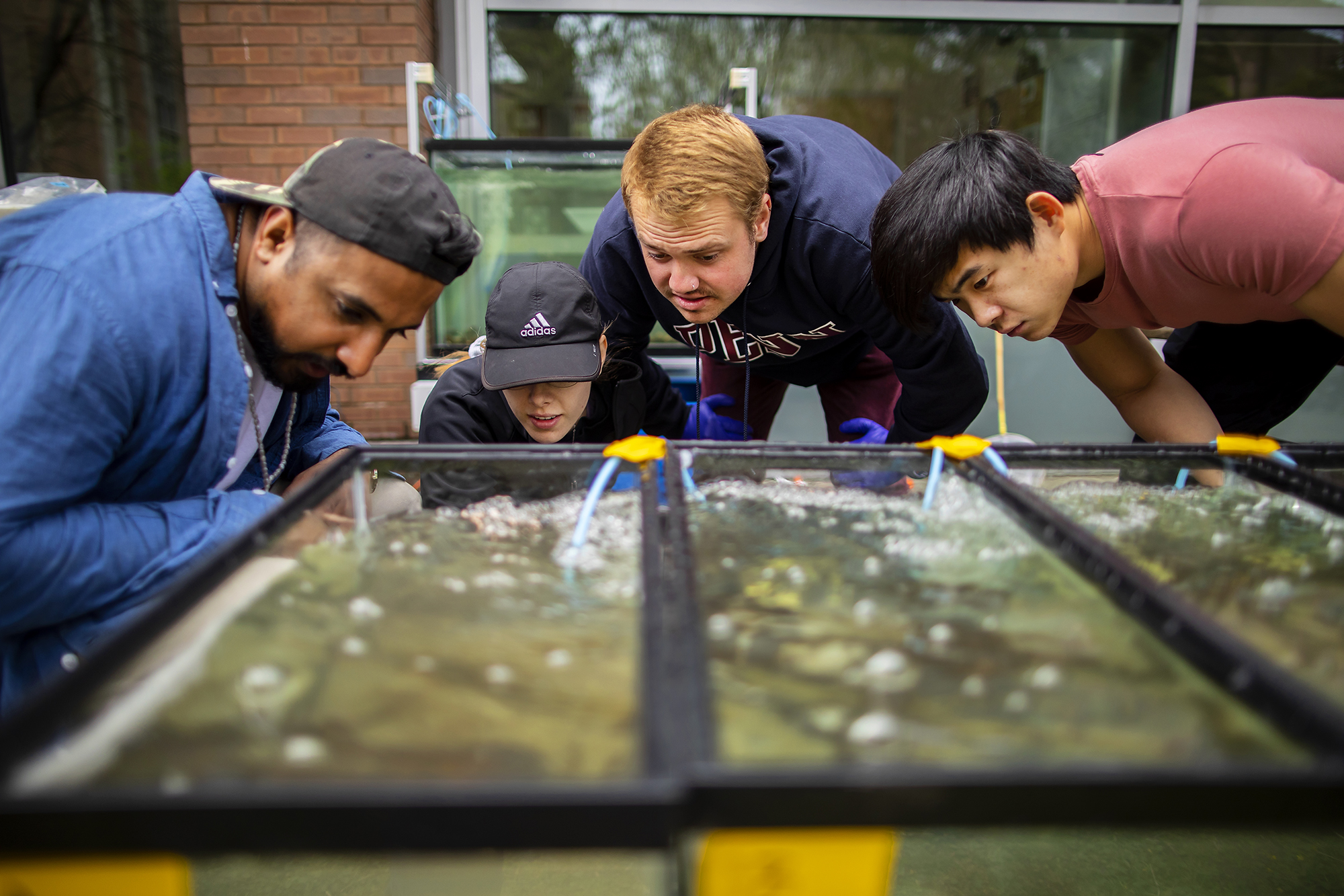 mussel tank with students gathered around