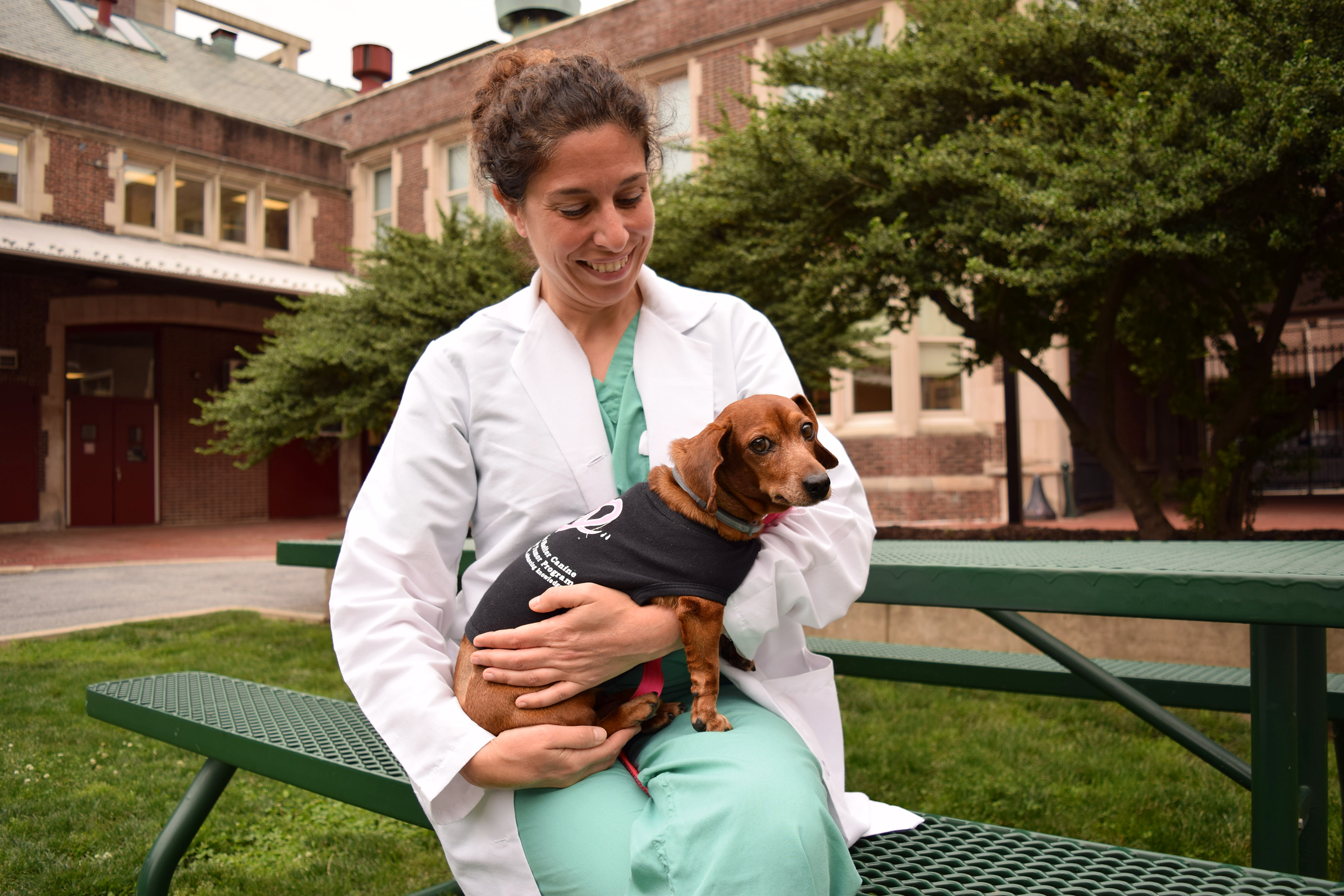 Veterinarian in white coat sitting at a picnic bench holds a dachshund wearing a black top