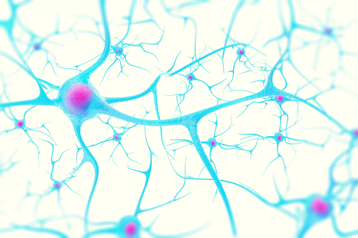 blue neurons on a white background with red nucleuses