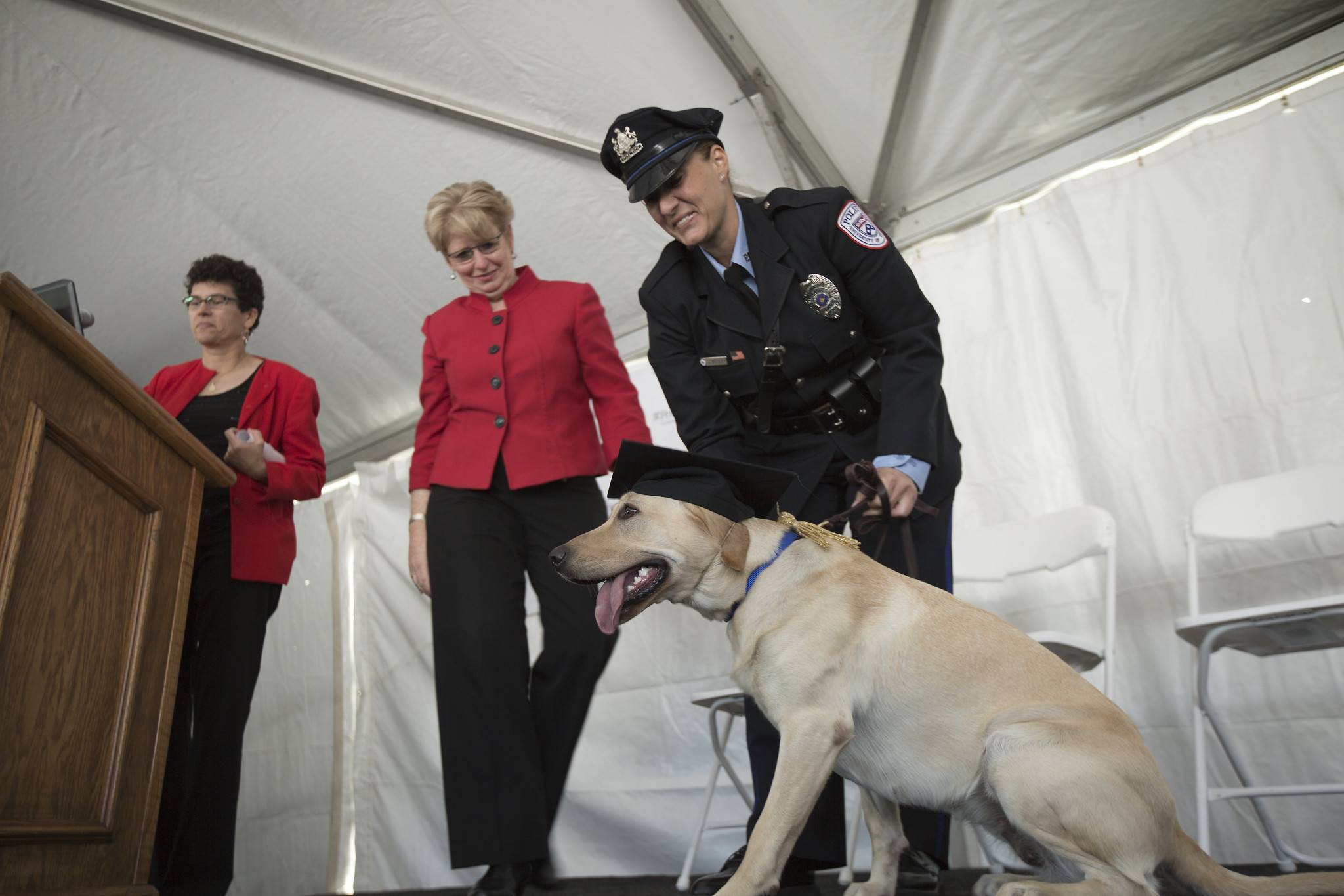 Dog with graduation cap with police officer petting it and another person looking at them and another at a podium. 