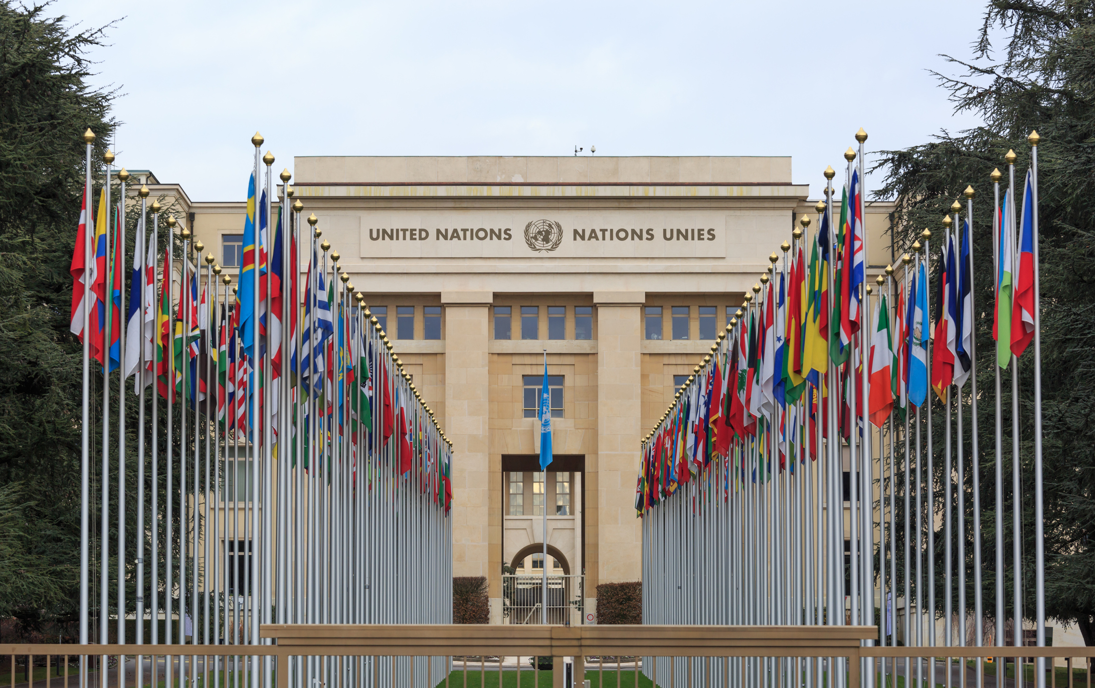 United Nations member flags raised outside of the UN building in New York