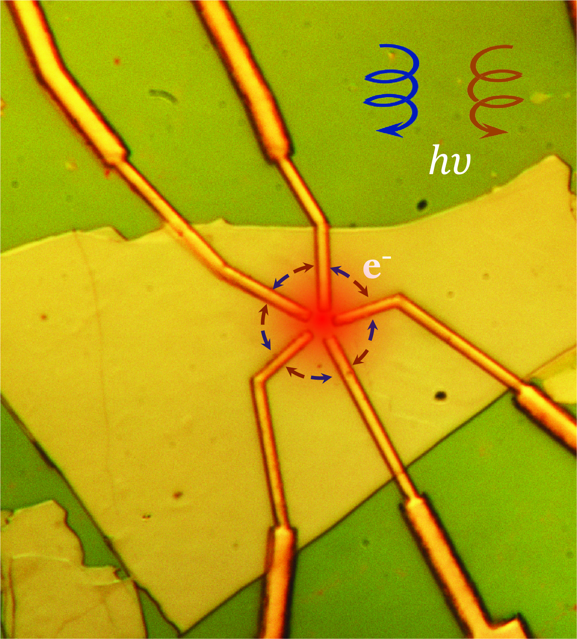 a close-up of five electrodes on top of a flat piece of metal with a circle of arrows indicating how electrons, e-, flow in a rotating pattern