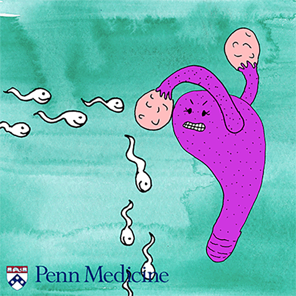 cartoon of a uterus punching back sperm like a boxer, indicating a humorous graphic approach to birth control