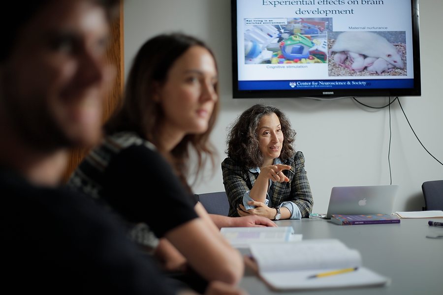 Person sitting at a table with blurry people in front and a screen hanging on the wall behind, which reads, "Experiential effects on brain development." 