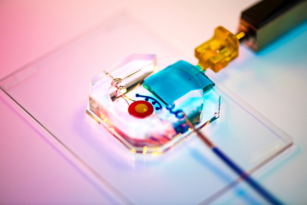 The Huh lab’s eye-on-a-chip attached to a motorized, gelatin-based eyelid.