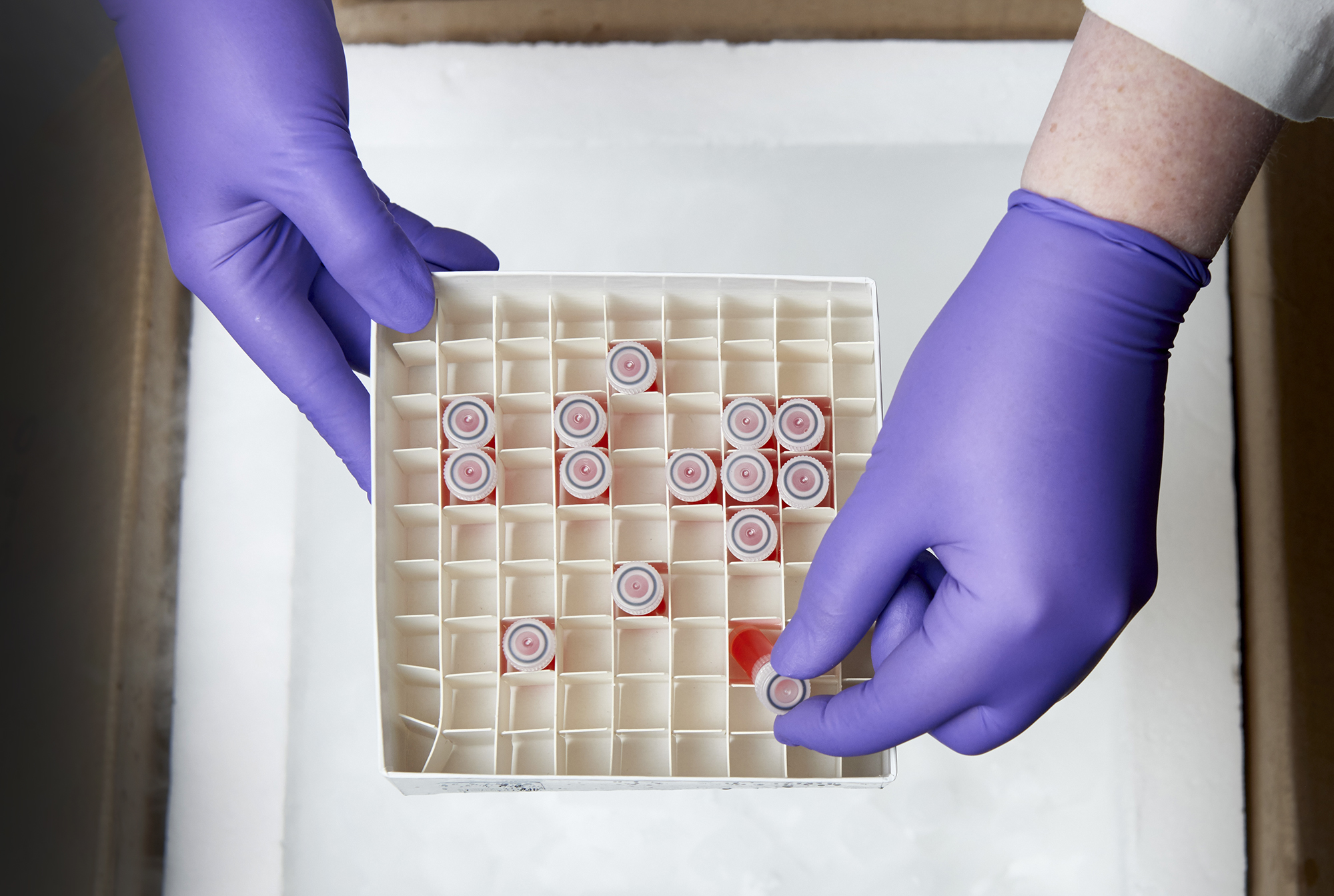 healthcare technician holding vials