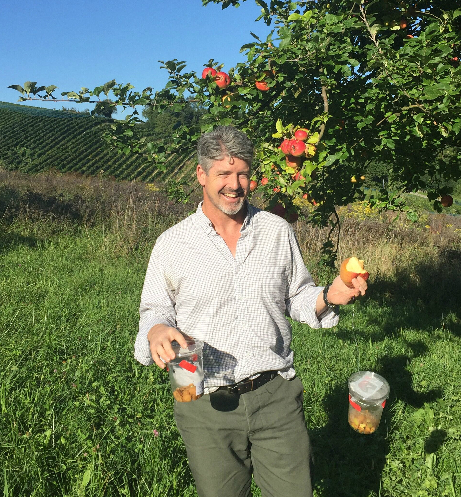 person standing in front of an apple tree in an agricultural setting holding half-eaten apple and plastic containers