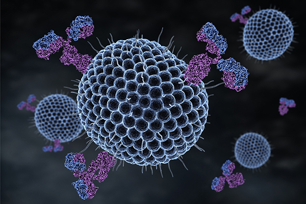 Microscopic rendering of a herpes virus