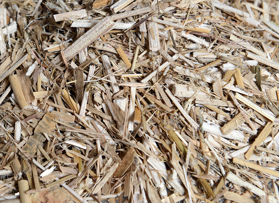 Pile of shredded straw from Miscanthus sinensis, Chinese silver grass