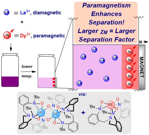 a schematic of the separation process. lanthanum ions are shown as blue circles labelled with La and "diamagnetic", and neodymium as red circles with Dy and "paramagnetic." arrows show that mixtures of La and Dy combined with lower temp and paramagnetism "enhances separation, with larger Xm equal to larger separation factor." the next panel shows a square where the La and Dy ions are separated from one another, with Dy ions lined up next to a magnet on the right. structures of organic molecules on bottom.
