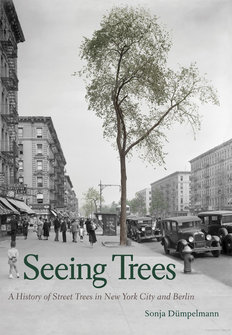 Cover of book by Sonja Dümpelmann, "Seeing Trees: A History of Street Trees in New York City and Berlin"