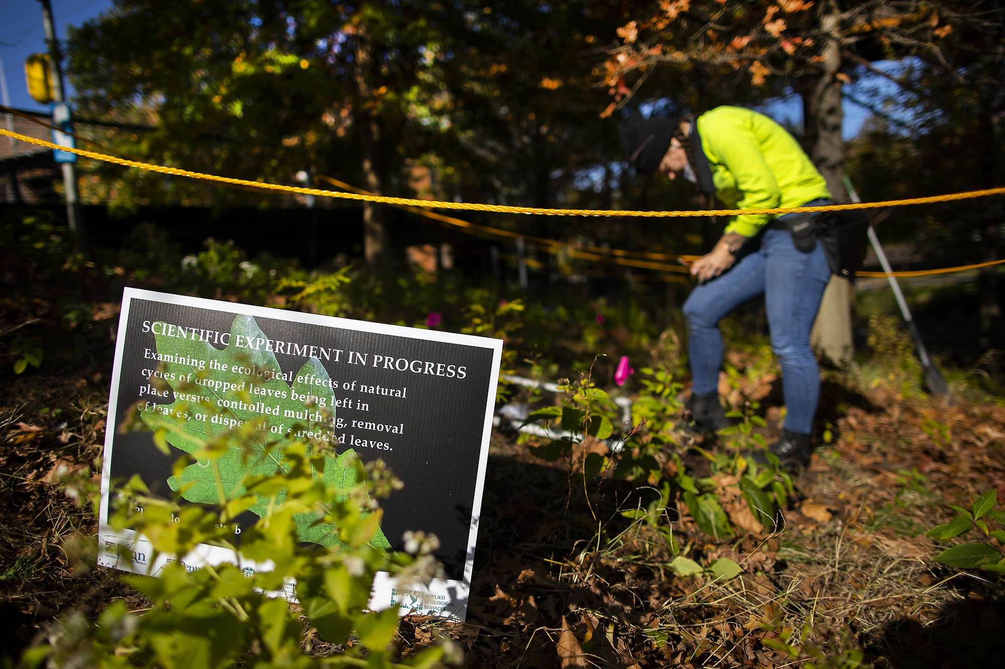 In the foreground, a sign saying "Scientific Experiment in Progress." In the background, a field scientist makes notes standing in a roped off area of land under trees.