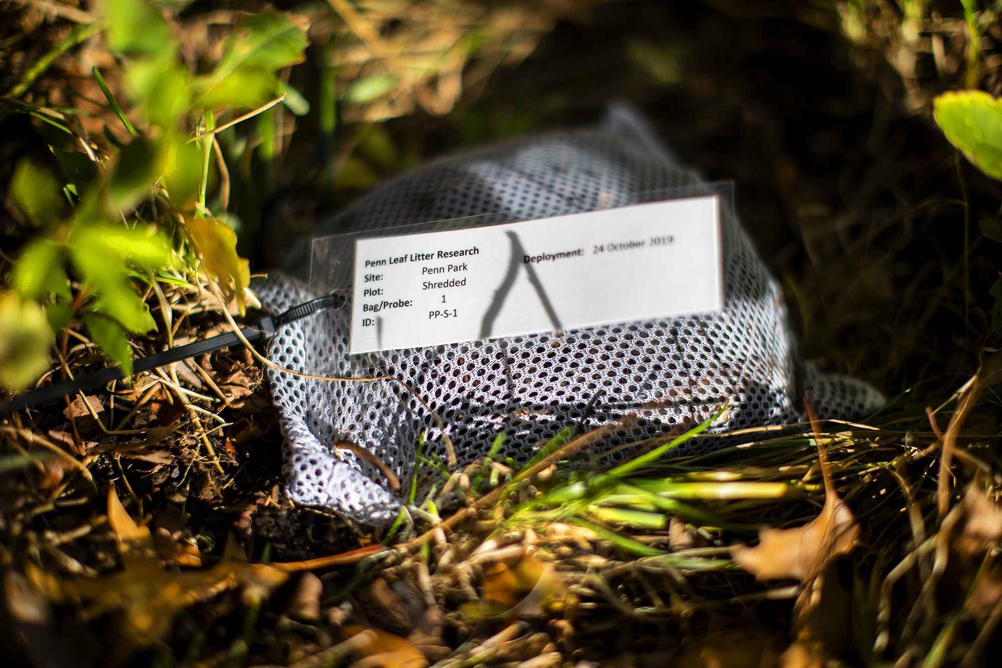 Mesh bag nestled in leaves with a tag reading "Penn Leaf Litter Research" and other scientific information