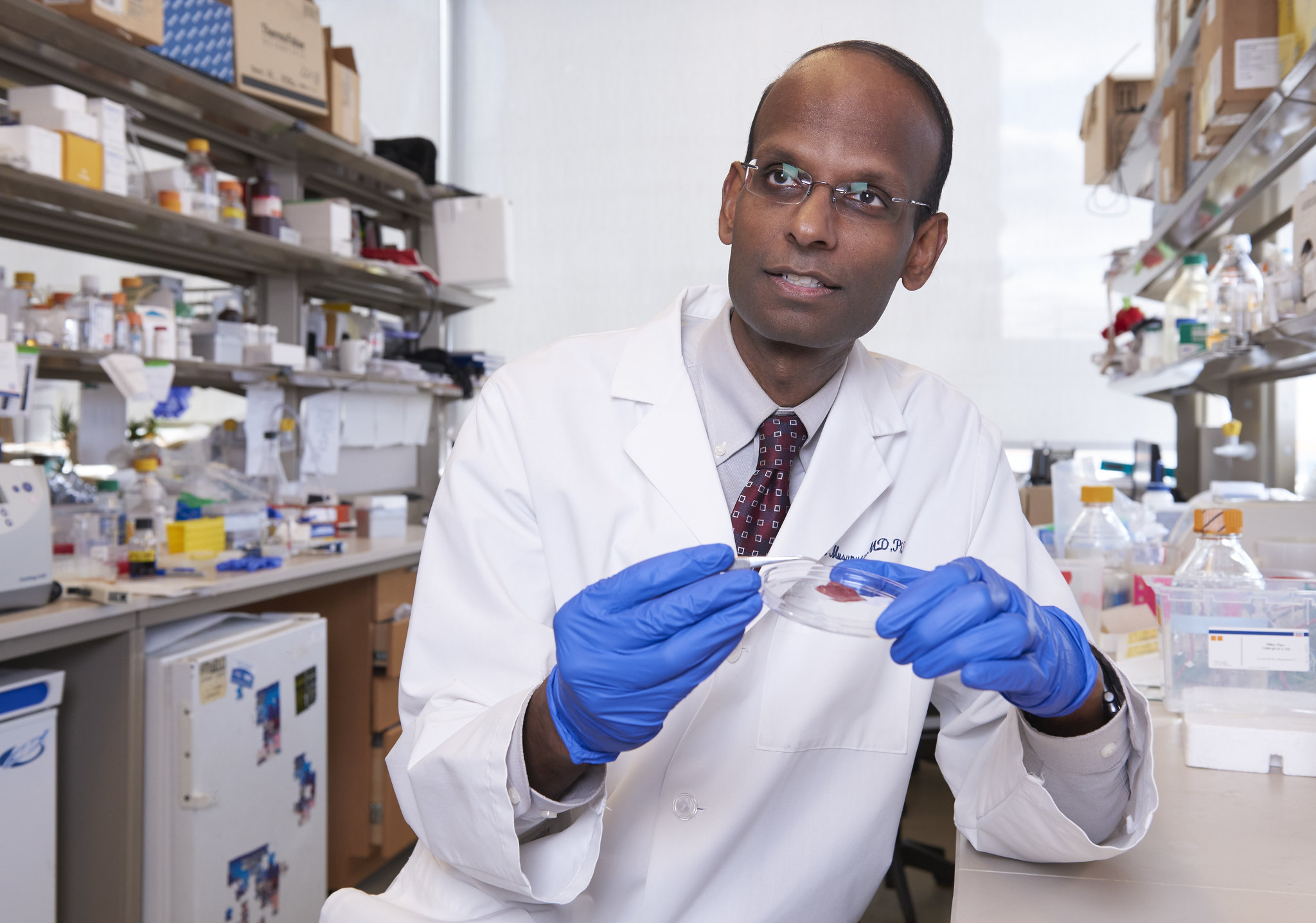 A scientist in a white coat with blue rubber gloves on holding a petri dish. In the background are lab materials on several sets of shelves.