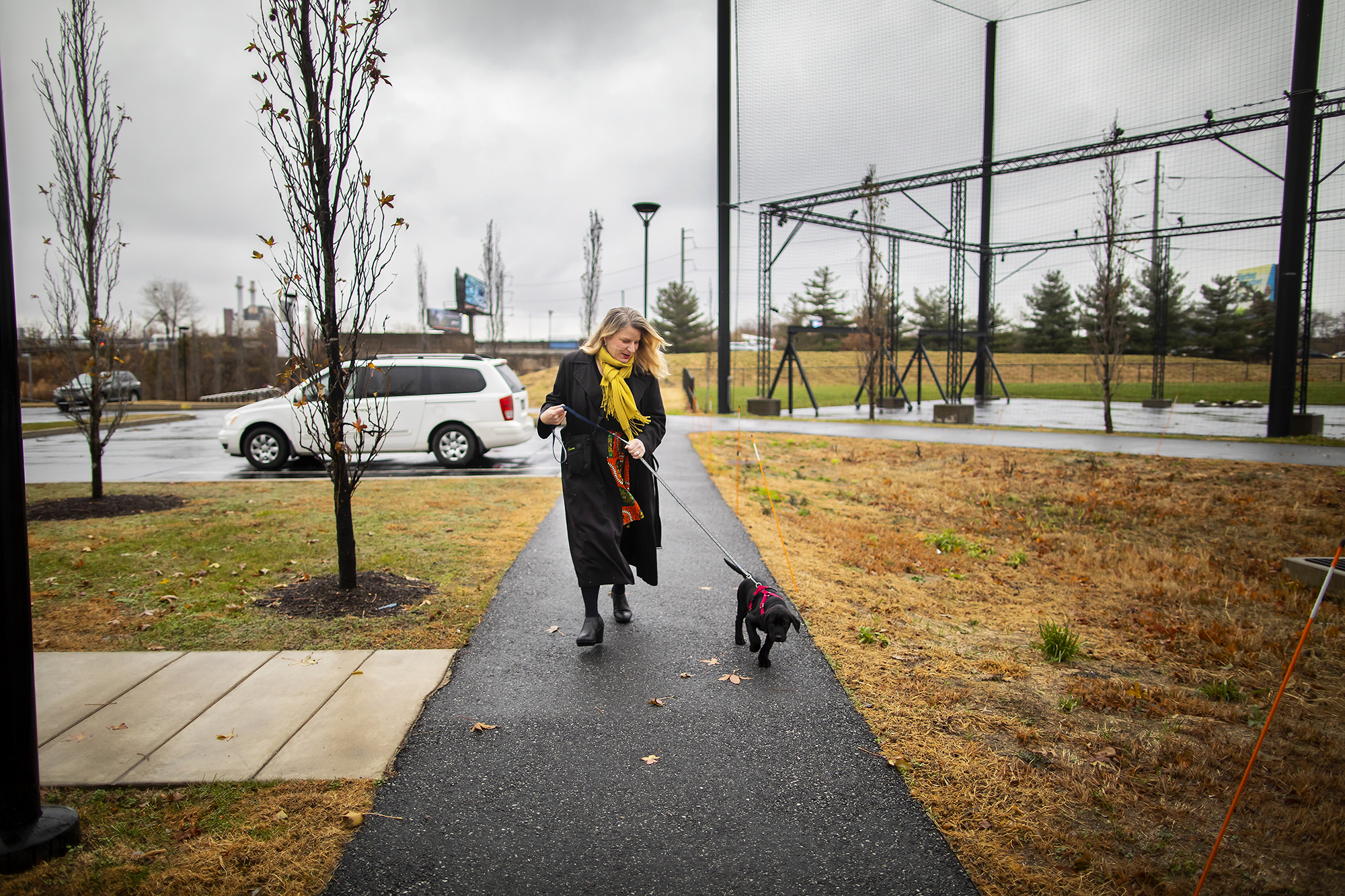 Person walks a black Labrador retriever puppy along a path from a parking lot