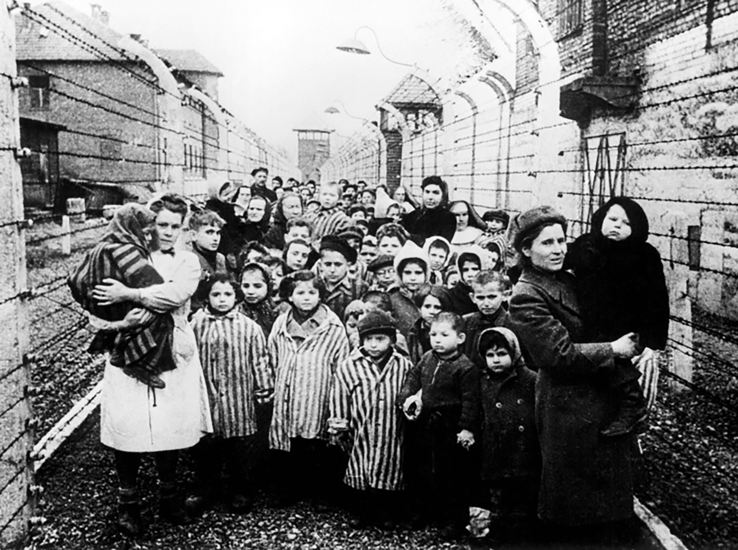 Bambini liberati nel campo di concentrazione di Auschwitz, 1945