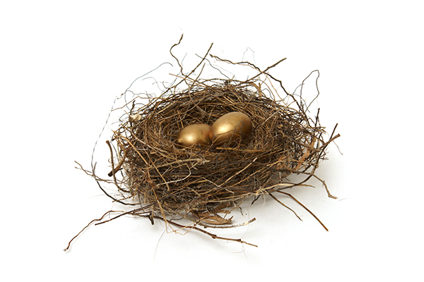 two golden eggs in a nest