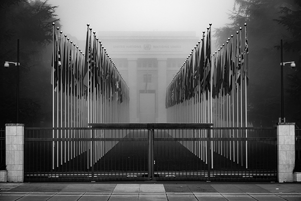 The United Nations Palace entry with the flags of the member countries.