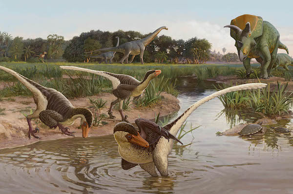 Illustration showing three feathered dinosaurs in and near a stream with other large dinosaurs nearby
