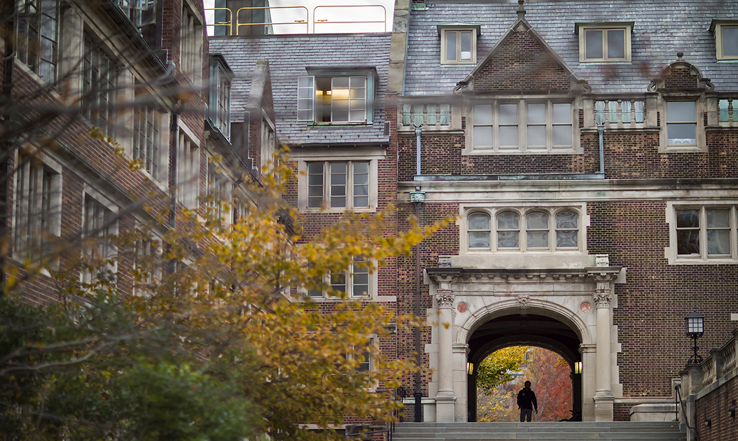 Class of 2024 Regular Decision admissions results | Penn Today