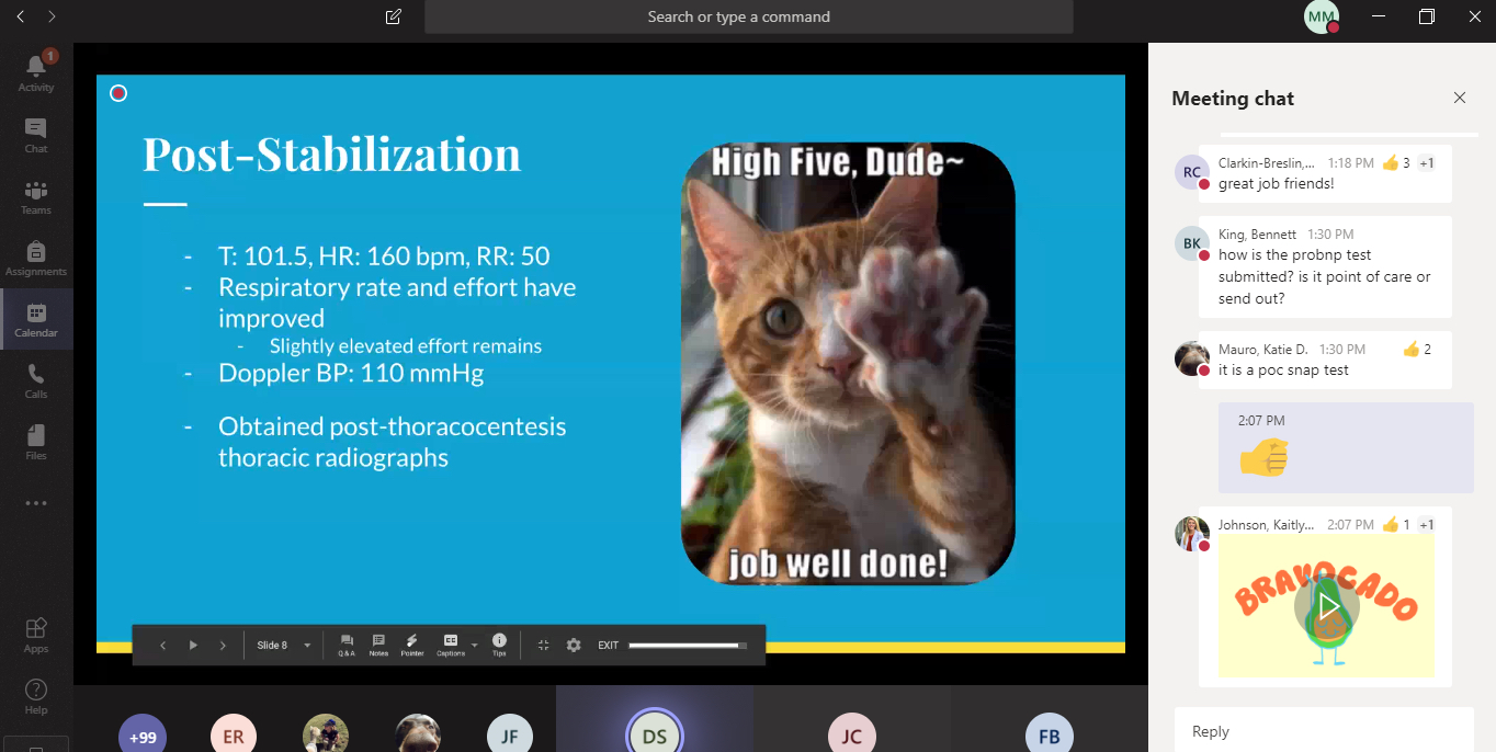 A screenshot of an online veterinary clinical course with a cat and chat box to the side