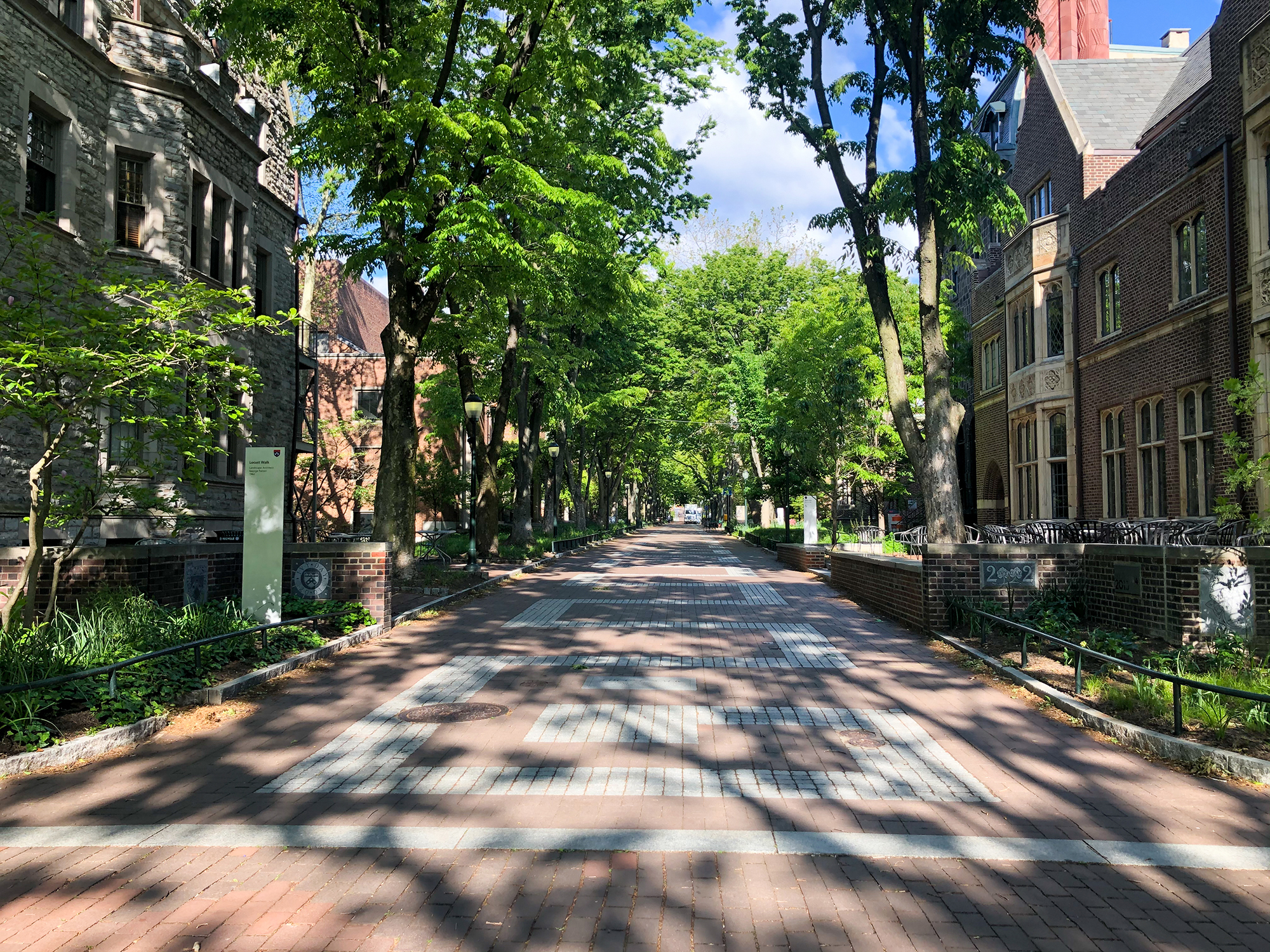 Sunlit but empty Locust Walk in springtime