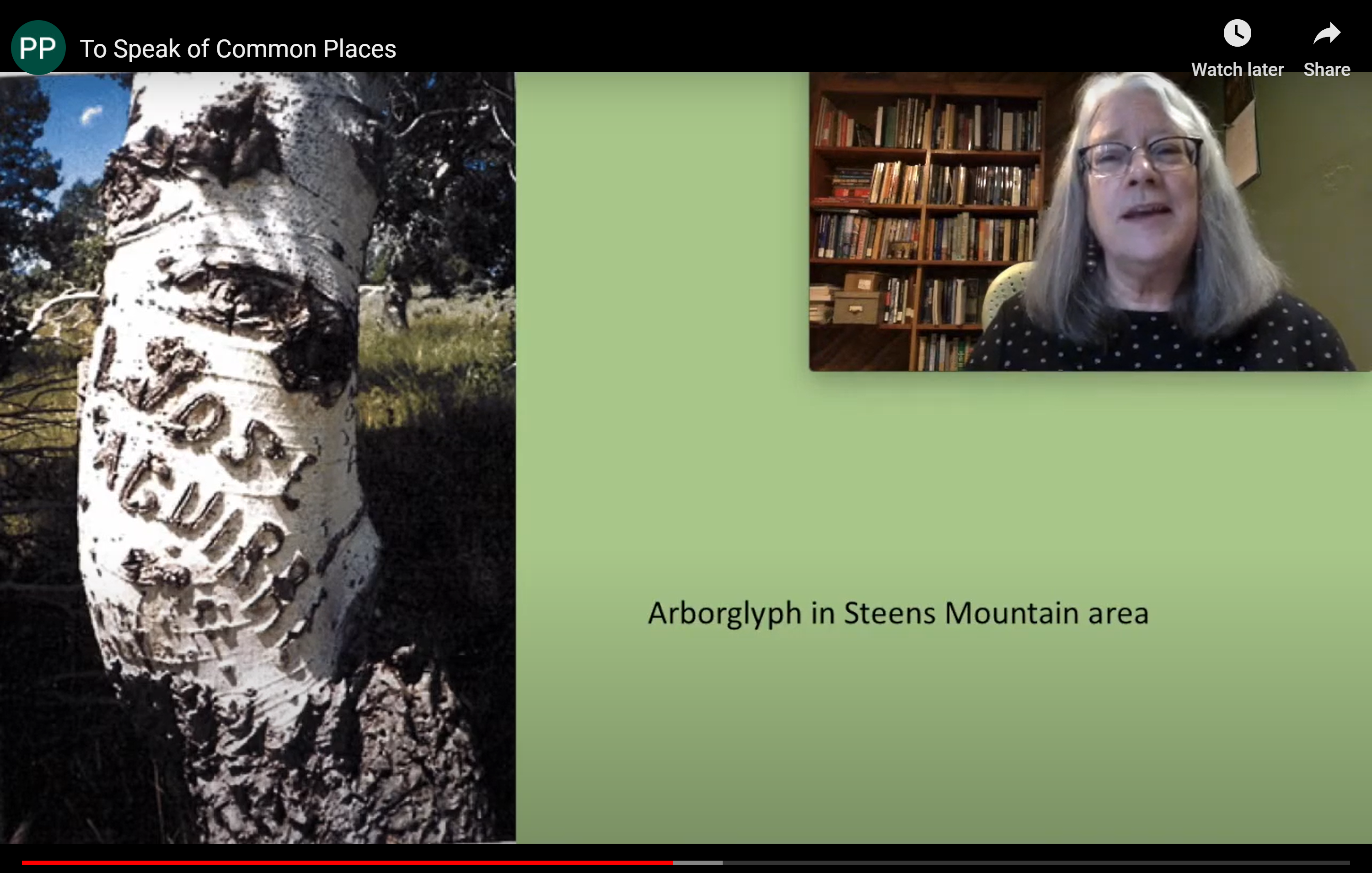 Screenshot of virtual meeting with a speaker next to a treed with carved bark labeled arborglyph in Steens Mountain area