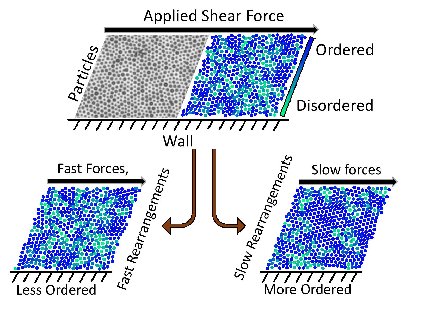 a diagram of the study results, showing particles in gray with an arrow indicating applied shear force on the top against a wall on the bottom, the far right panel shows a colored display of ordered versus disordered particles, then on the bottom arrows indicate that fast forces and fast rearrangements lead to less ordered materials while slow rearrangements and slow forces lead to more ordered materials