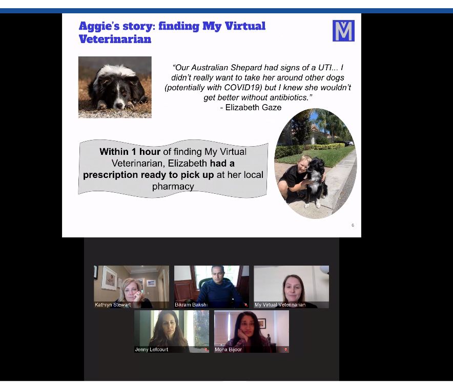 Screen shot of a pitch for Virtual Vet with a slide on the top describing a pet owner’s experience with Virtual Vet and the panel headshots in boxes below the slide.
