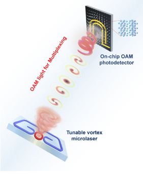 a diagram showing how the vortext lasers work, with a tunable vortex microlaser on the bottom, shooting spirals of OAM light for multiplexing that reaches an on-chip OAM photodetector