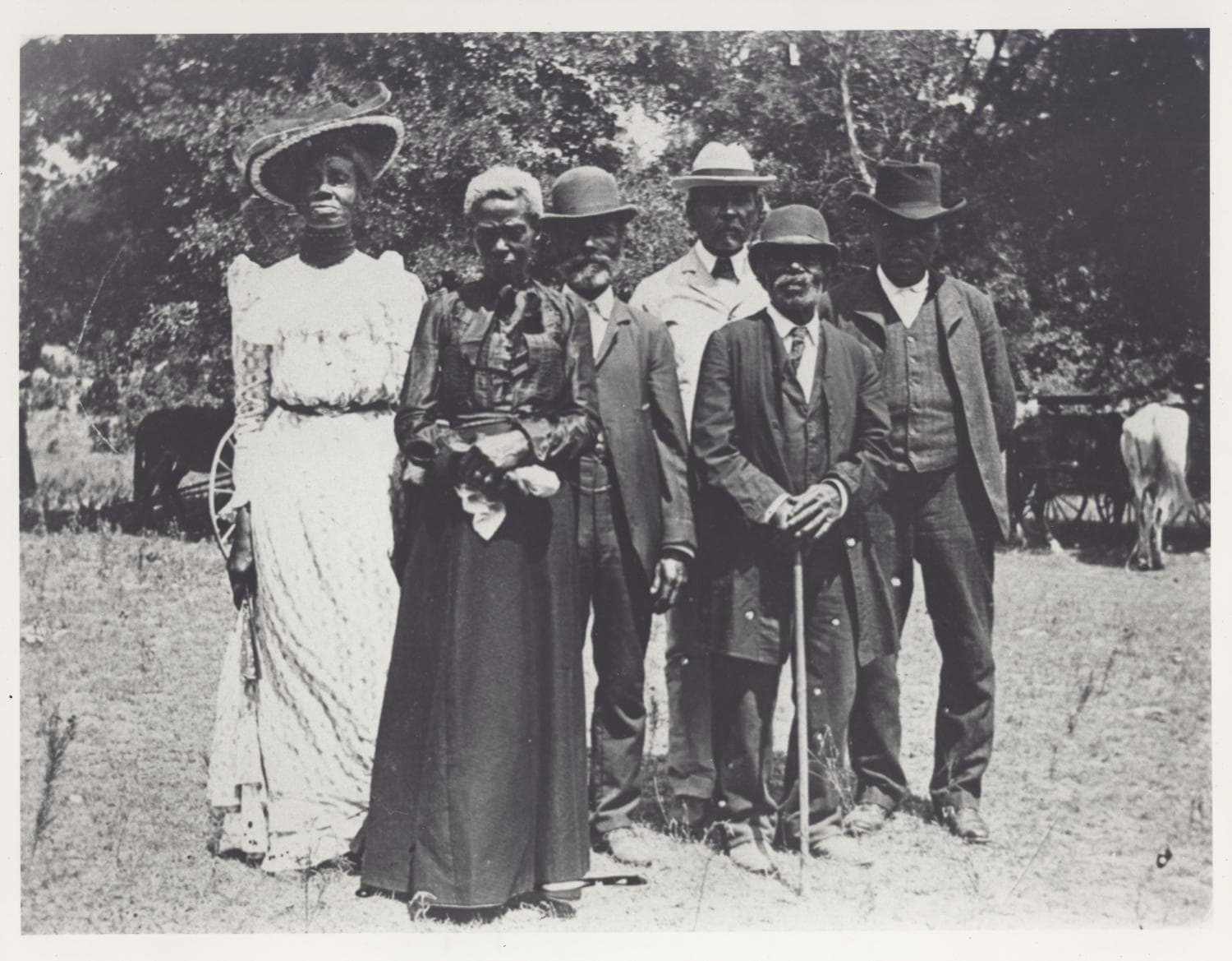 Historical image  of a group of African Americans at Juneteenth celebration in 1900.19