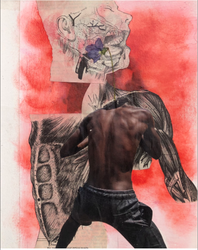 a shirtless man's torso is juxtaposed on drawings of bones and muscles