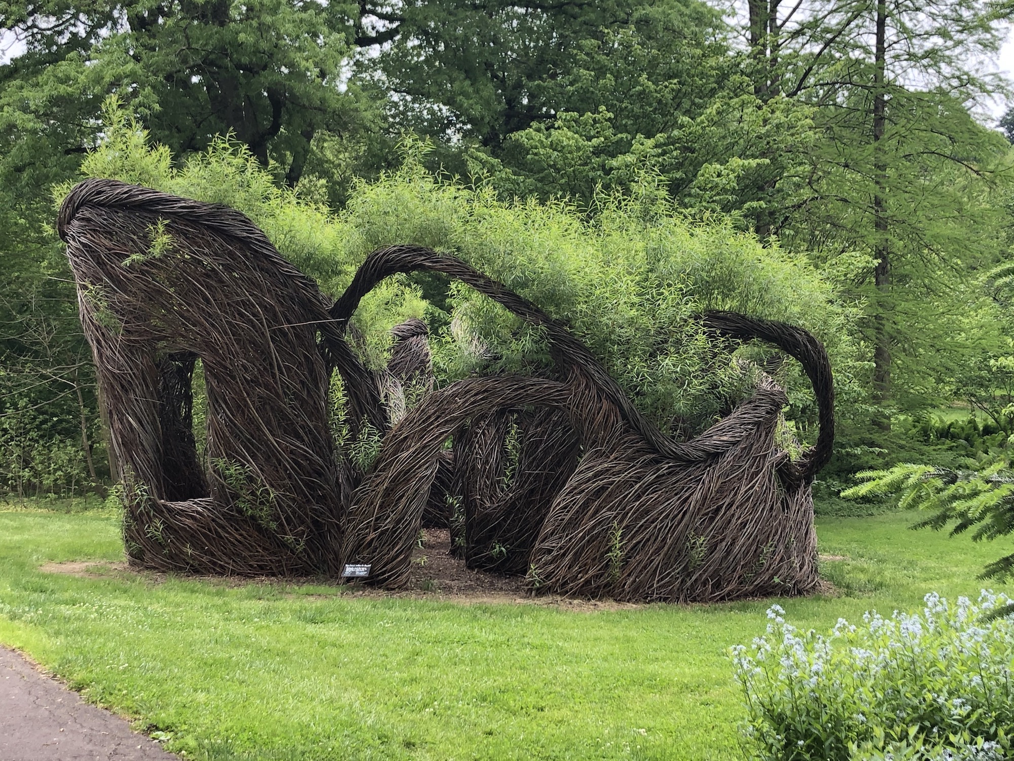 Large and curvaceous sculpture made of willow branches in a field