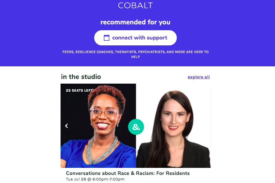 website screen shot of cobolt