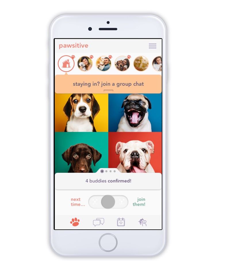 a screen shot of an app with a picture of four dogs, at the top are images of people with their pets and below it reads staying in? join a group chat, below the image of four dogs it says four buddies confirmed! with a switch bar where the user can select next time or join them