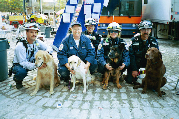 Veterinarians and handlers with their search-and-rescue dogs