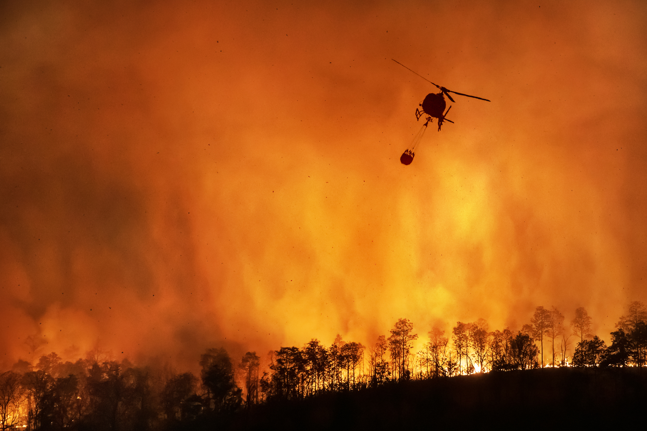 A helicopter dumps water on a raging wildfire in California.