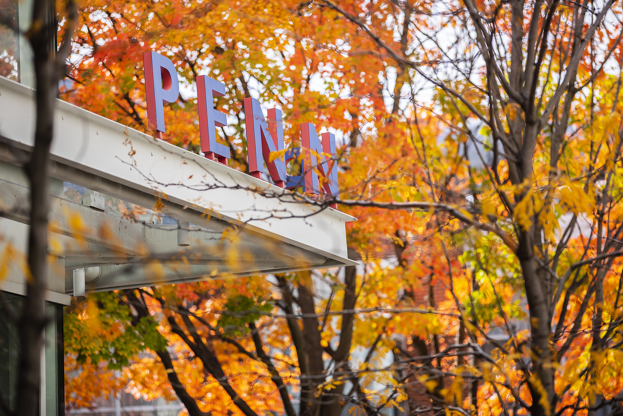 PENN sign on top of building entrance framed by surrounding autumn leaves.