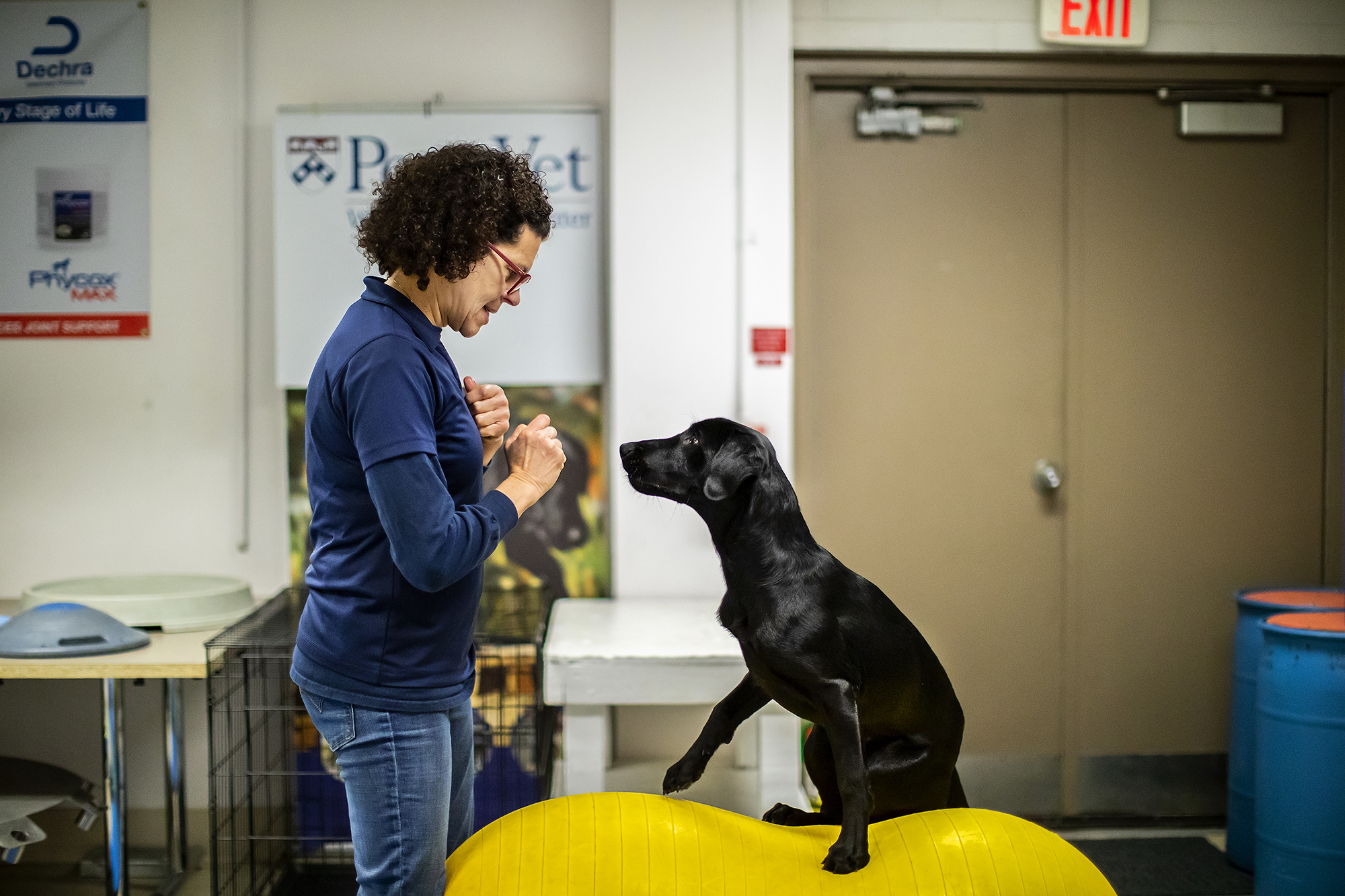 Cynthia Otto with black lab balancing on a rubber ball